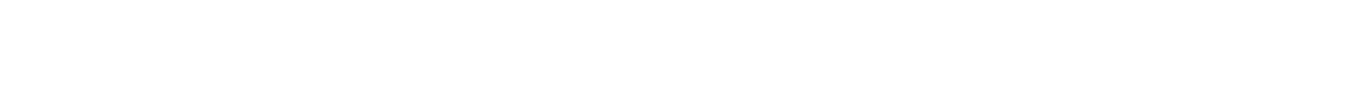 pp电子logo
