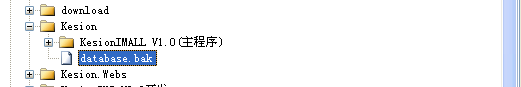 pp电子NET版本SQL2005/2008/2010数据库手工还原装置说明 第 6 张
