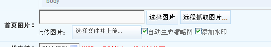 pp电子（ASP.NET）国界片自力服务器设置 第 9 张
