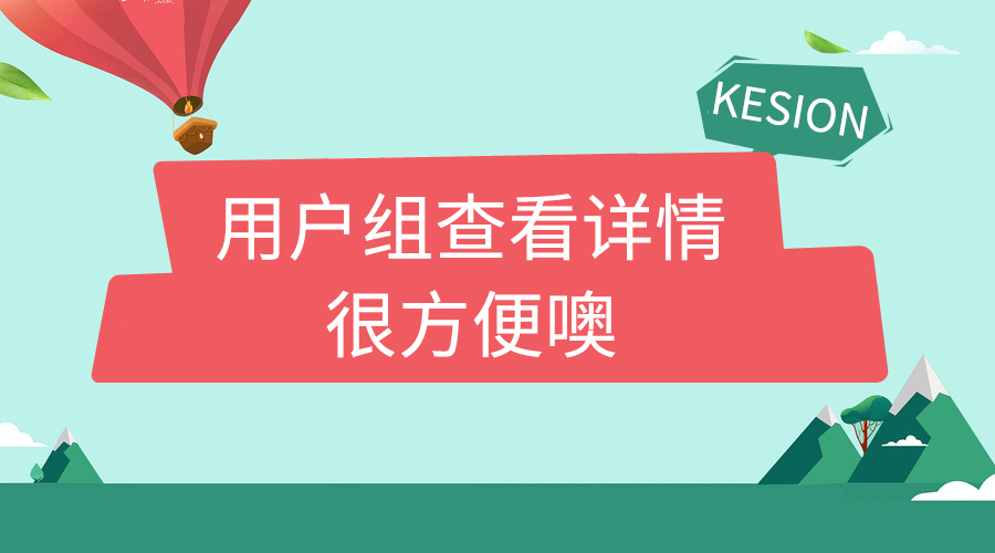 （电商）用户组支持审查详情啦！