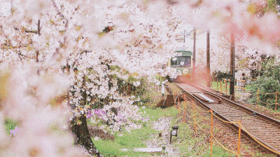 8a0d3534affe56a041a3413731b0444e.png