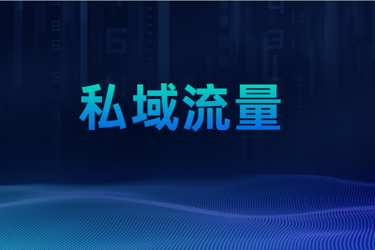 在“黑天鹅”的催化下，，，，私域流量越来越受重视