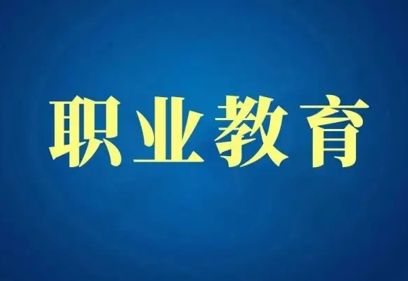职业教育领域迎来黄金时期 线上职业教育该怎样生长？？？？？？